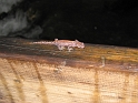 bild (15)